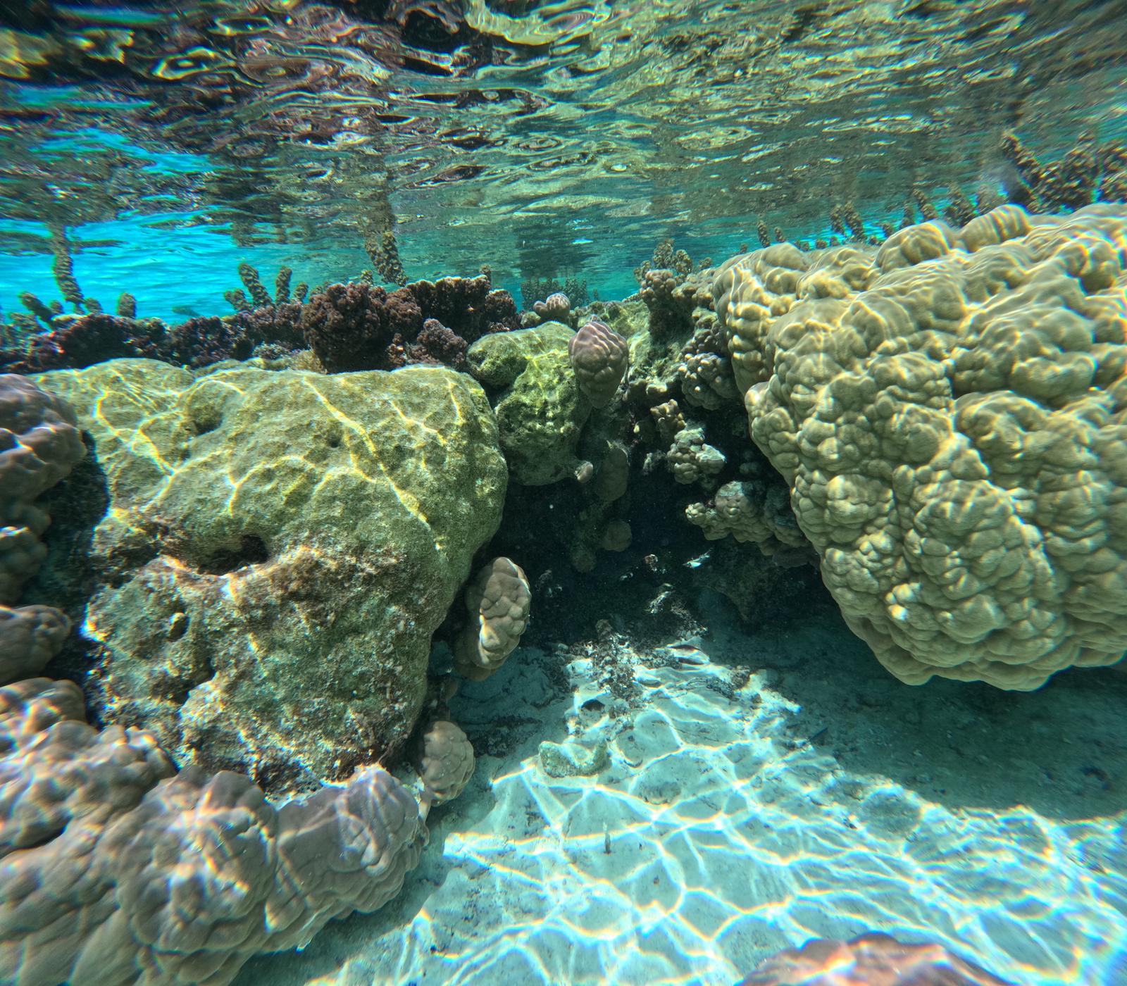  🇵🇫️ Tahaa and Raiatea images/2023/tah/w5.jpg