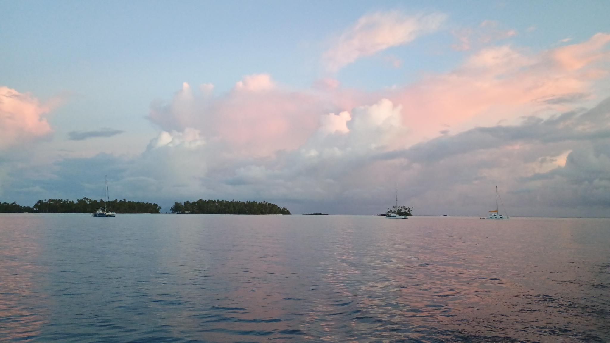 ๐ต๐ซ๏ธ Bora Bora and Tahaa images/2024/bor/totonga.jpg
