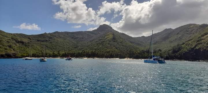  🇵🇫️ Tahuata and much more images/2024/tahu/hm.jpg