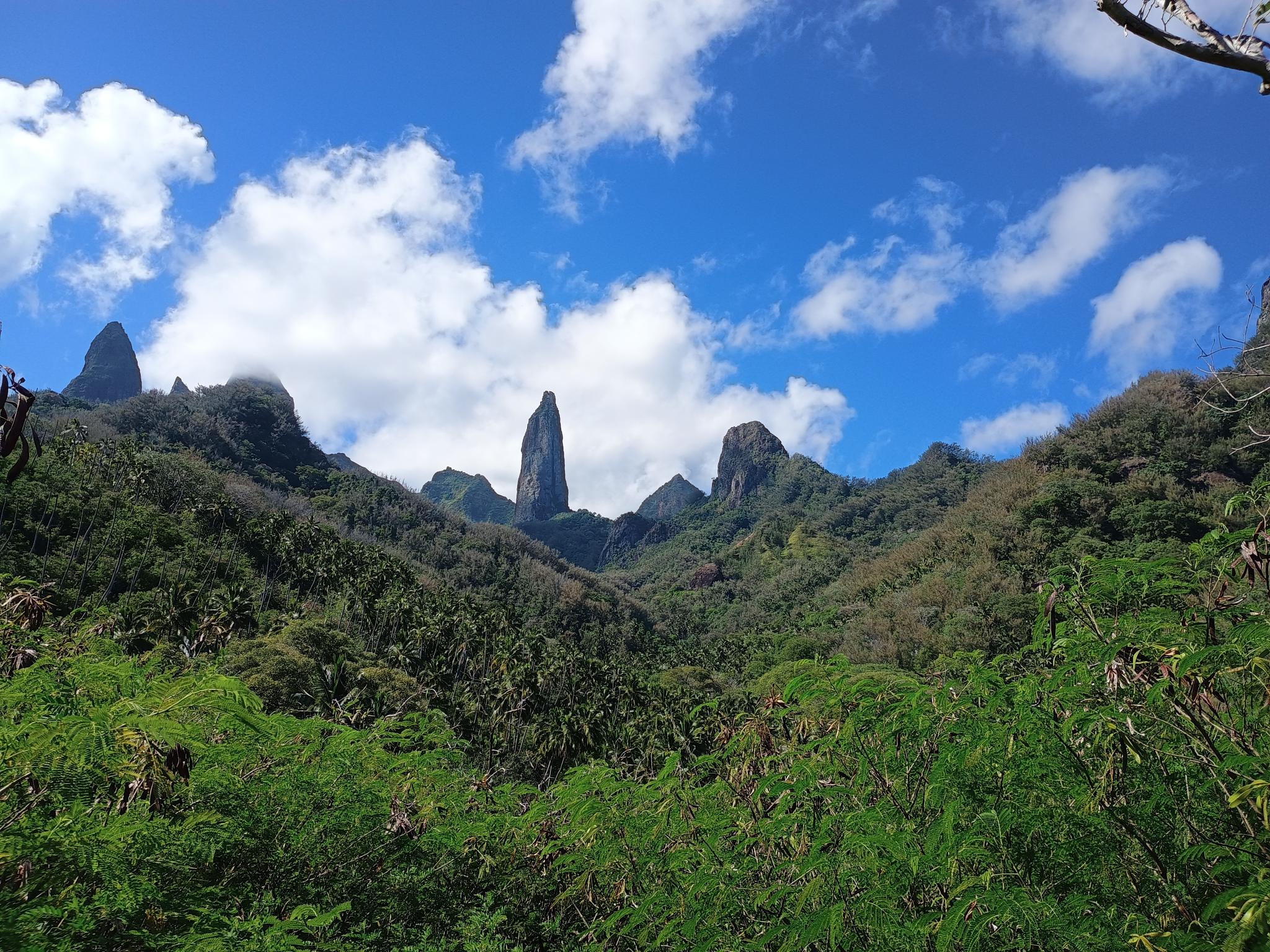  🇵🇫️ Tahuata and much more images/2024/tahu/ua.jpg