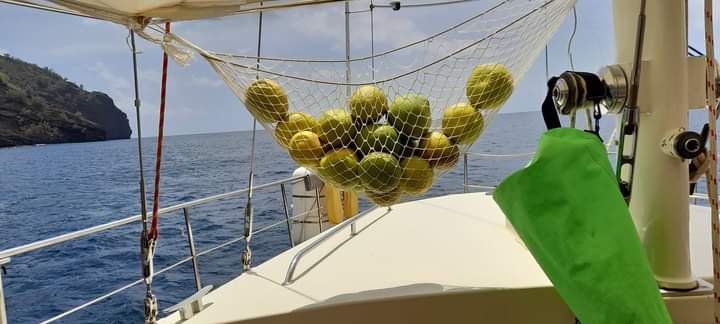  🇵🇫️ Tahuata and much more images/2024/tahu/v14.jpg
