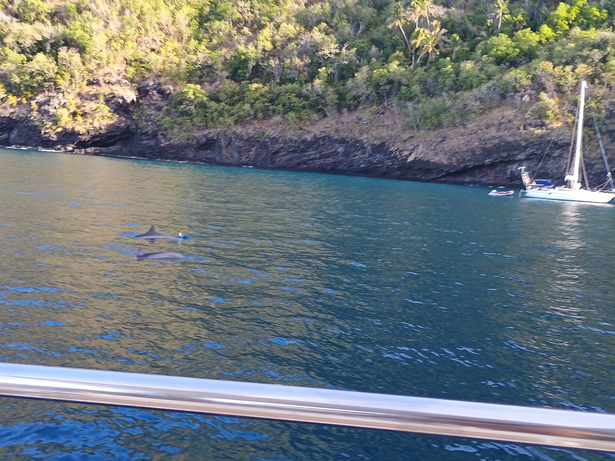  🇵🇫️ Tahuata and much more images/2024/tahu/v5.jpg