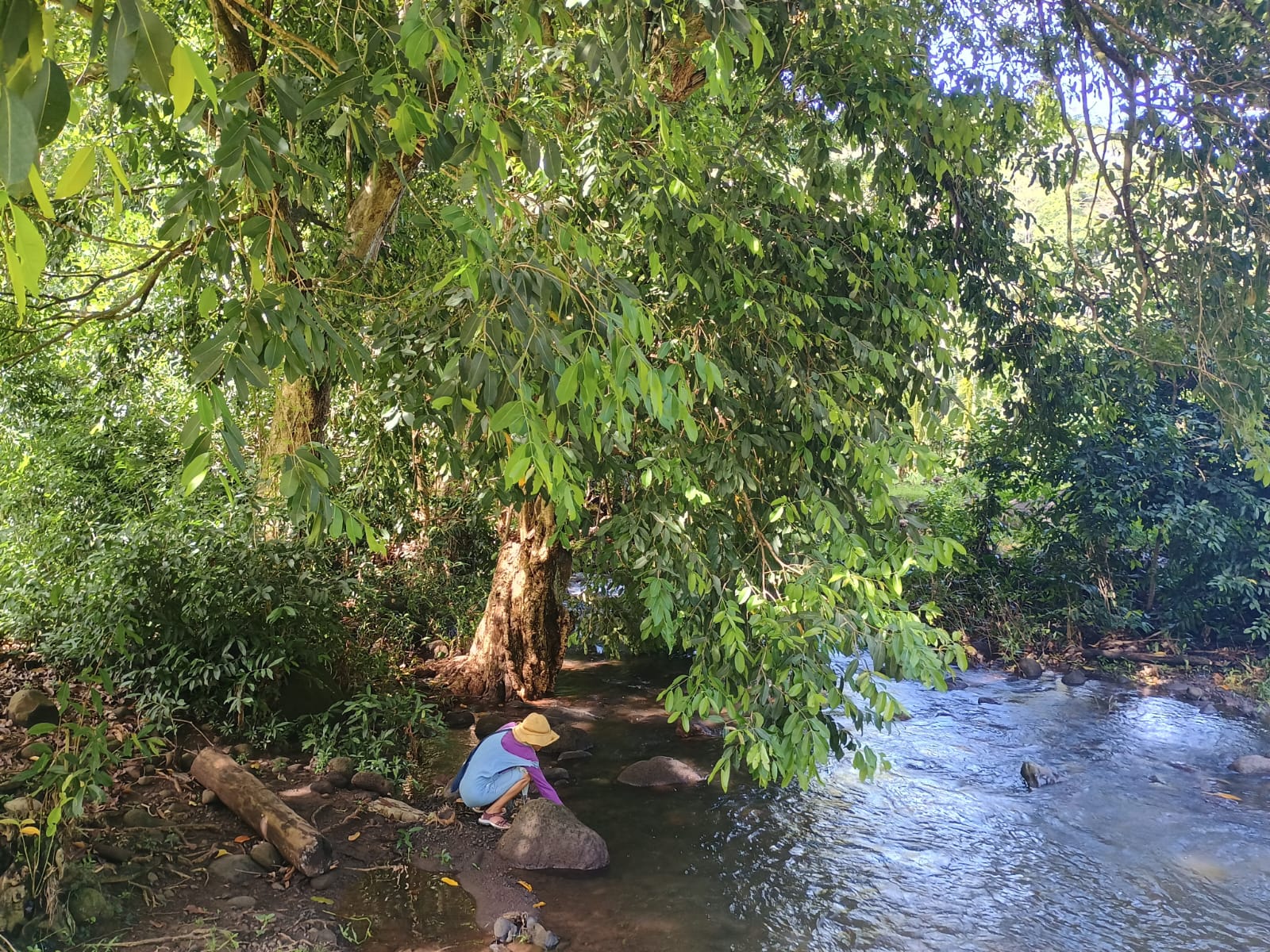  🇵🇫️ Tahuata and much more images/2024/tahu/v8.jpg