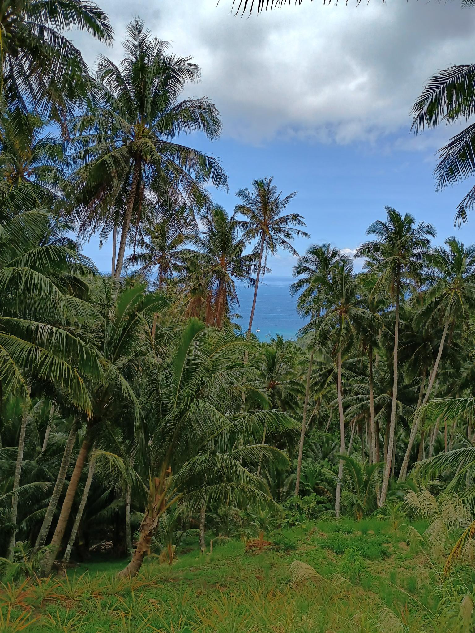  🇵🇫️ Tahuata and much more images/2024/tahu/vvv.jpg