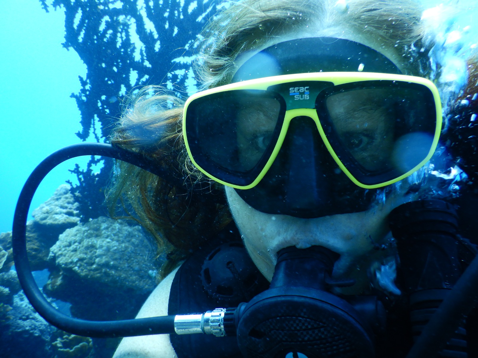 🇫🇯️ Lautoka, Vuda marina and Astrolabe reef images/2025/ast/1a.jpg