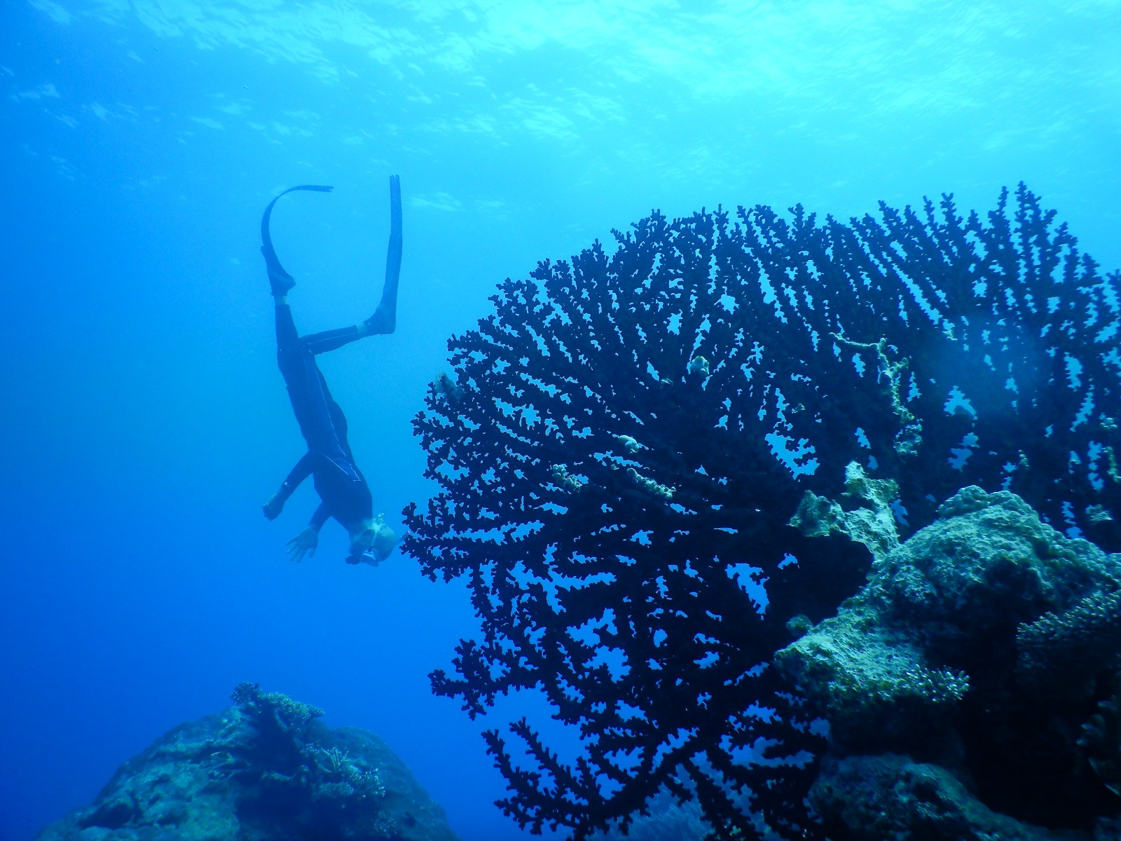 🇫🇯️ Lautoka, Vuda marina and Astrolabe reef images/2025/ast/a1.jpg