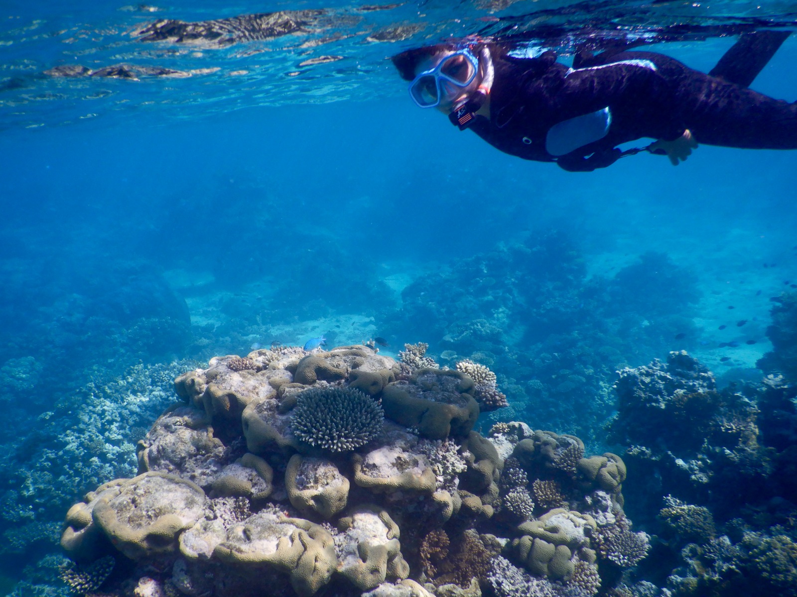 🇫🇯️ Lautoka, Vuda marina and Astrolabe reef images/2025/ast/a2.jpg