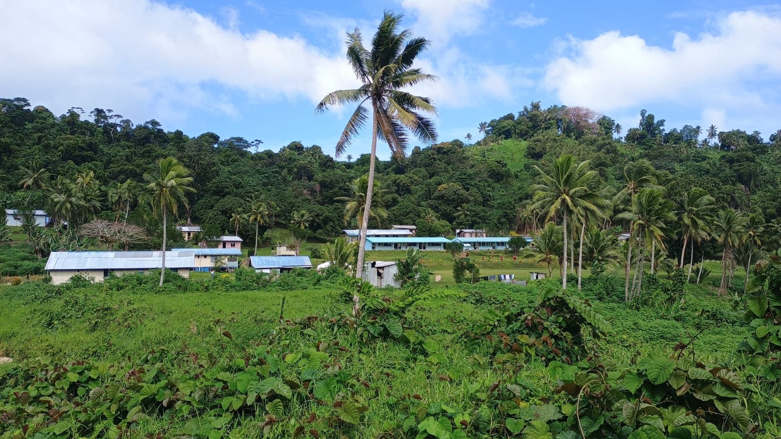 🇫🇯️ Lautoka, Vuda marina and Astrolabe reef images/2025/ast/school.jpg