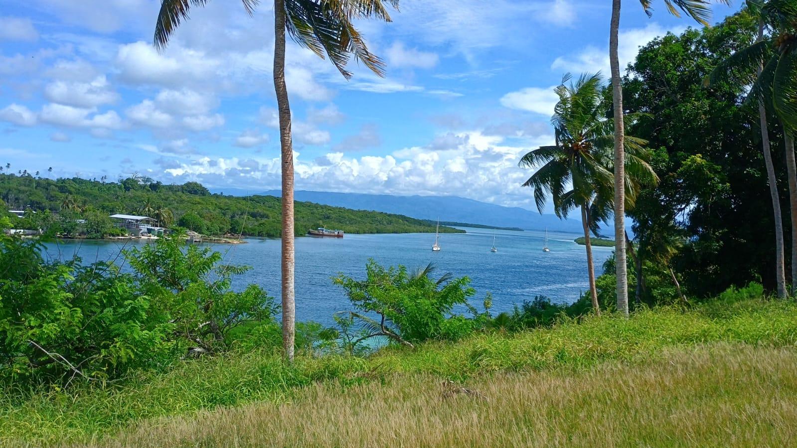 🇵🇬️ Bougainville images/2025/buka/bo.jpg