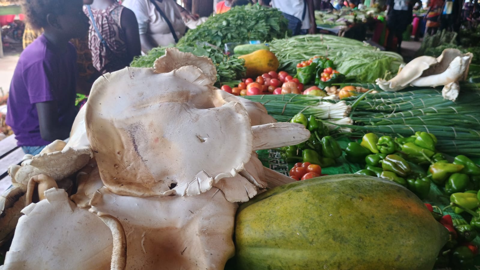 🇵🇬️ Christmas in Bougainville images/2025/buka/ma.jpg