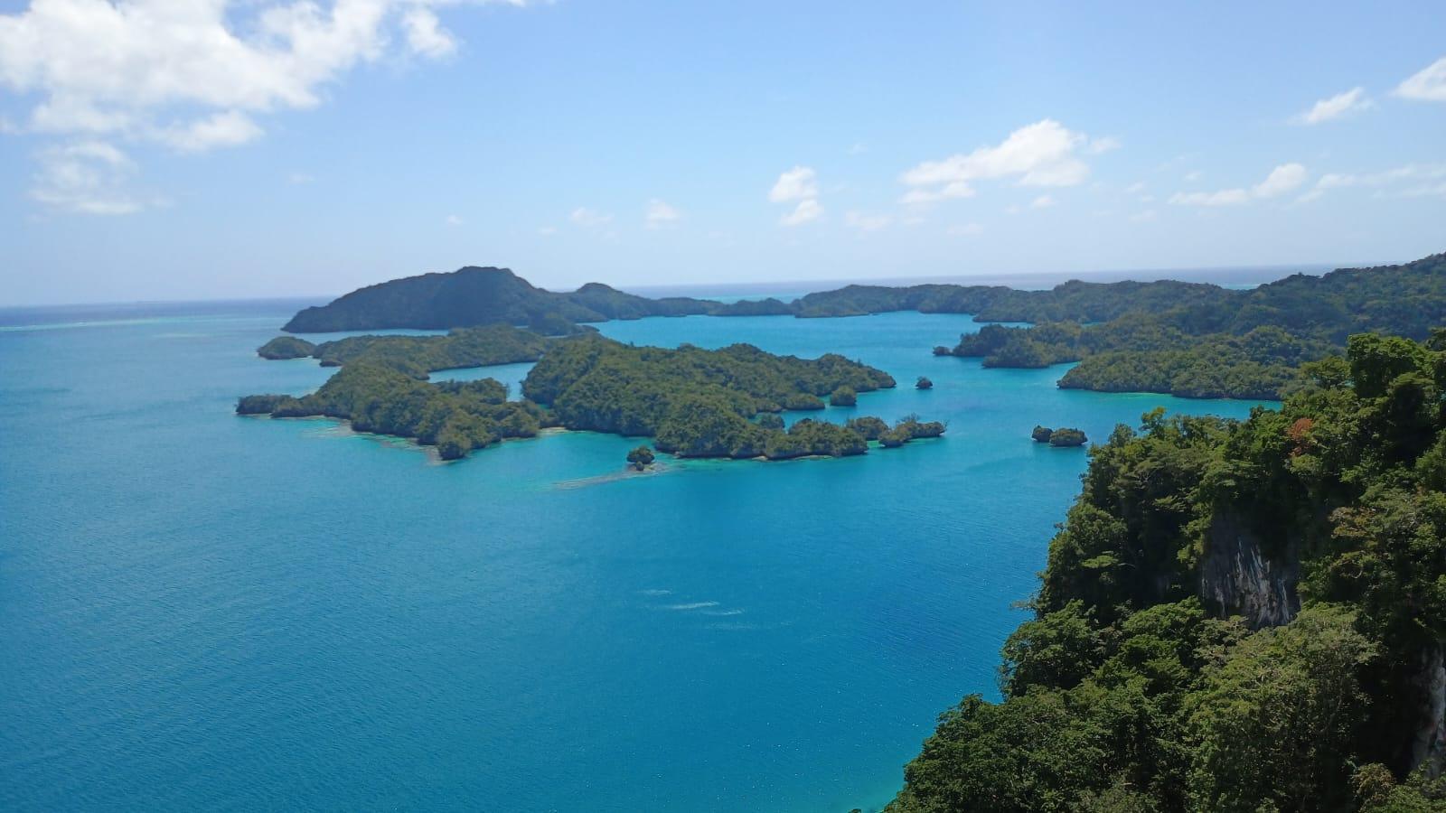 🇫🇯️ And back to the Lau islands images/2025/lau/boi.jpg