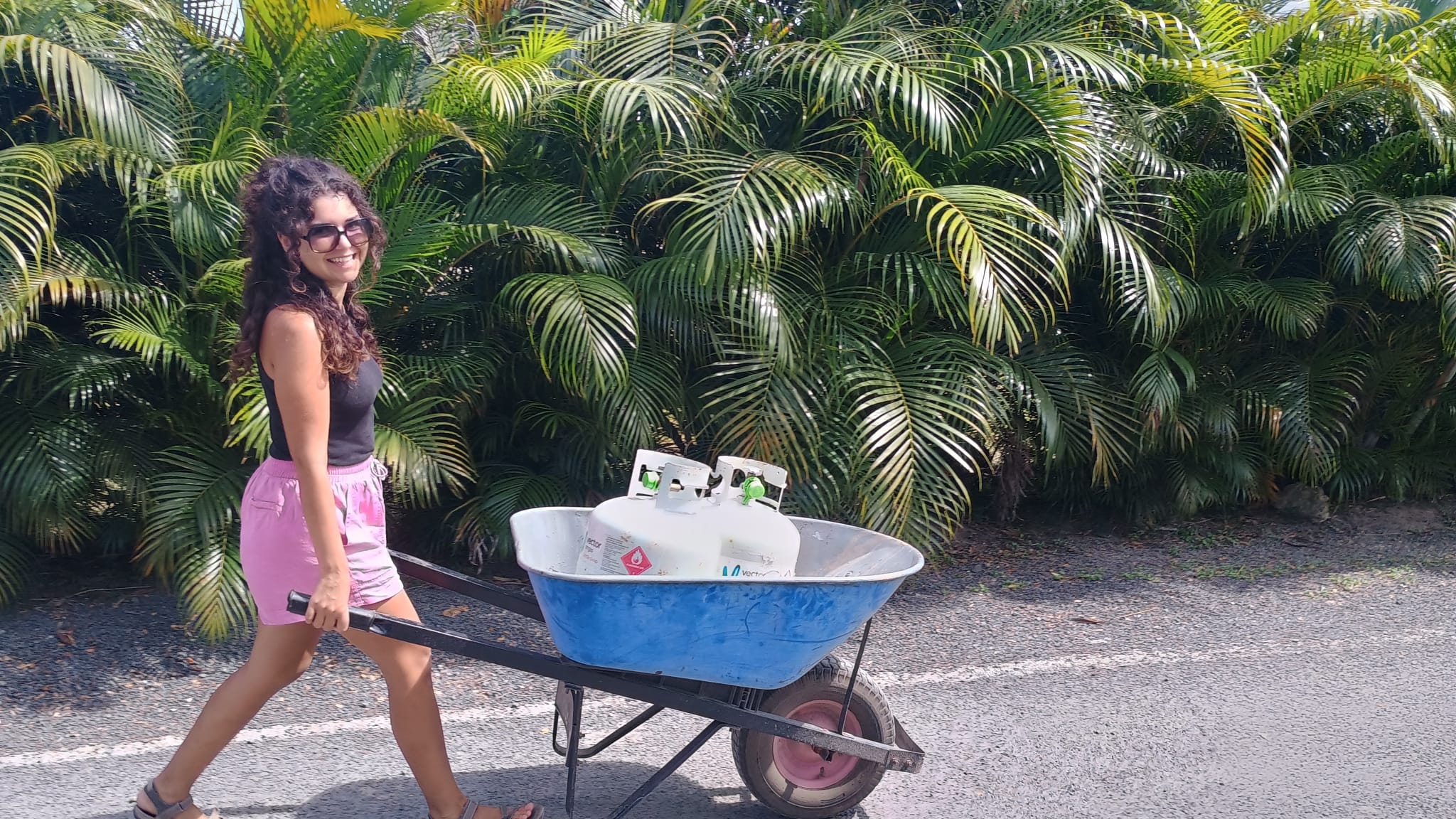 🇫🇯️ Back again to the Lau islands images/2025/lau/vu1.jpg