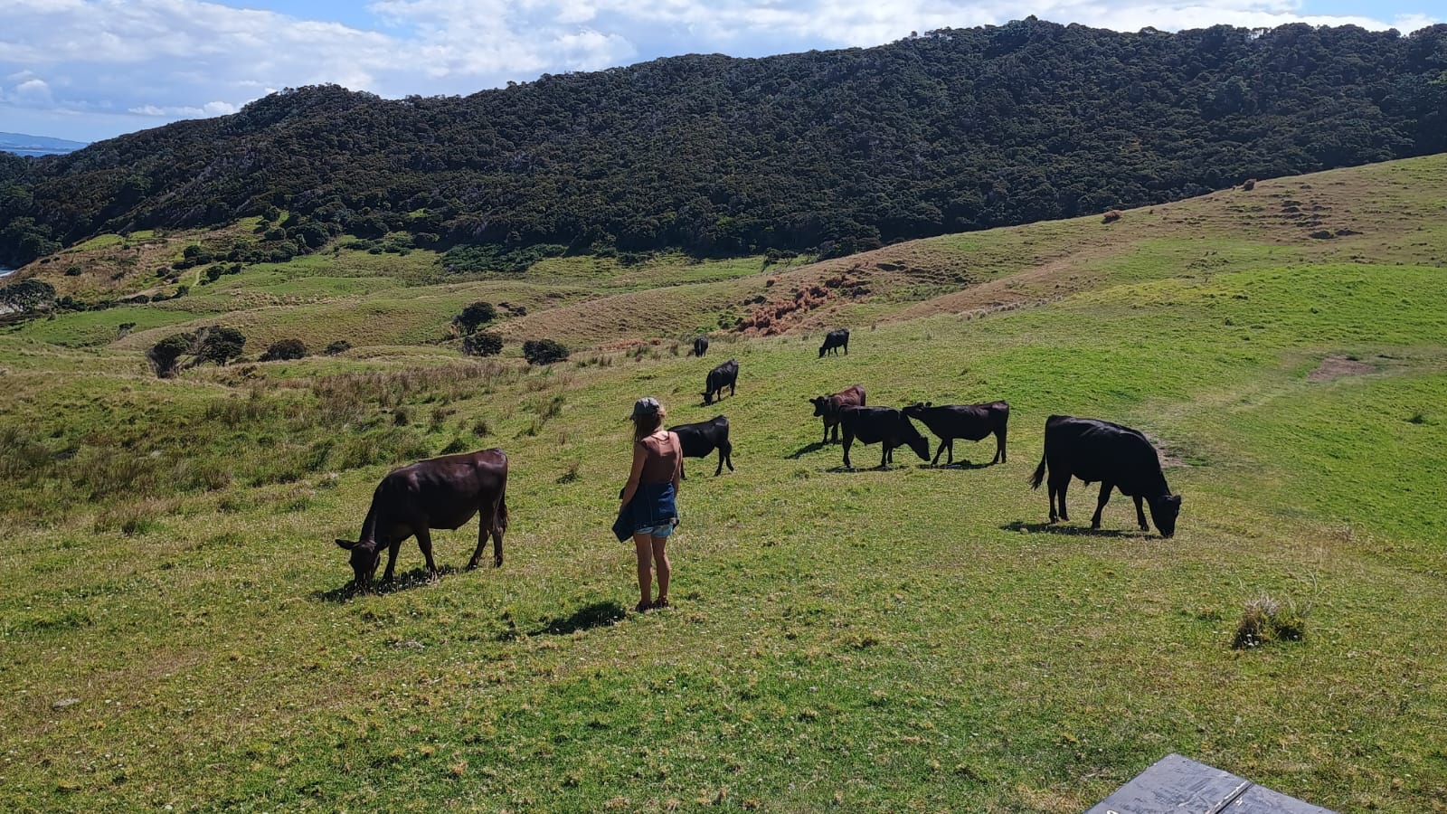  🇳🇿️ Back in Marsden and Whangarei  images/2025/mars/smuc.jpg