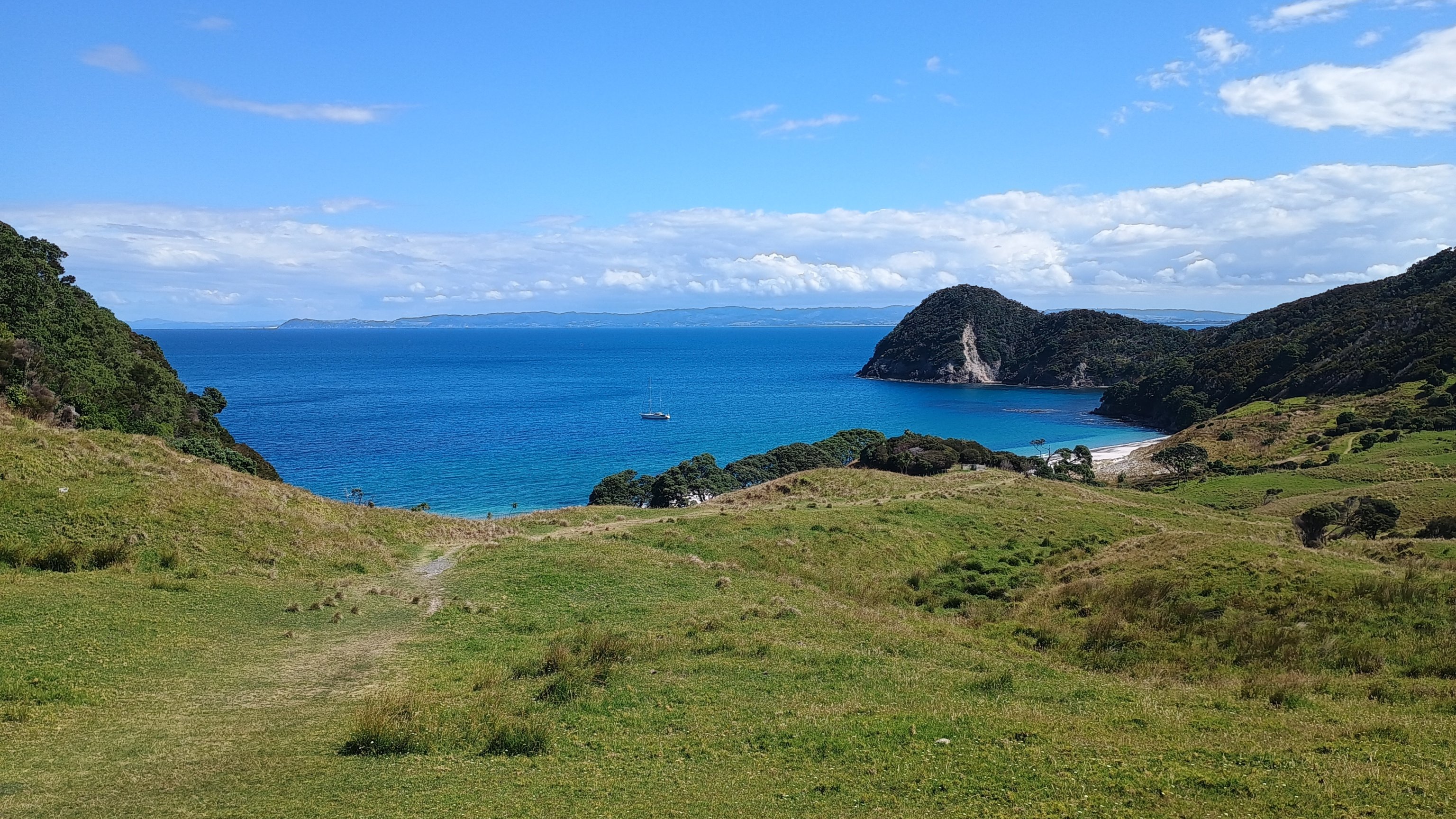  🇳🇿️ Back in Marsden and Whangarei  images/2025/mars/smuc1.jpg