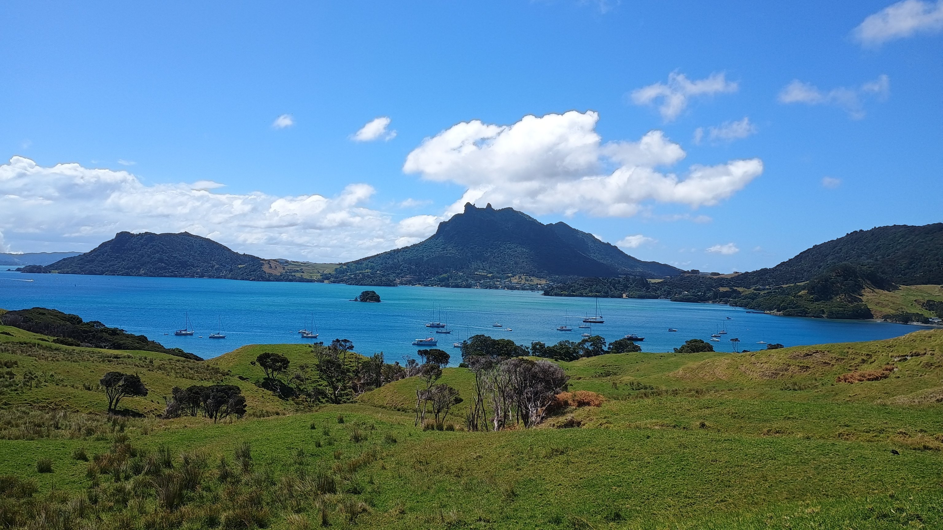 🇳🇿️ Back in Marsden and Whangarei  images/2025/mars/urs.jpg