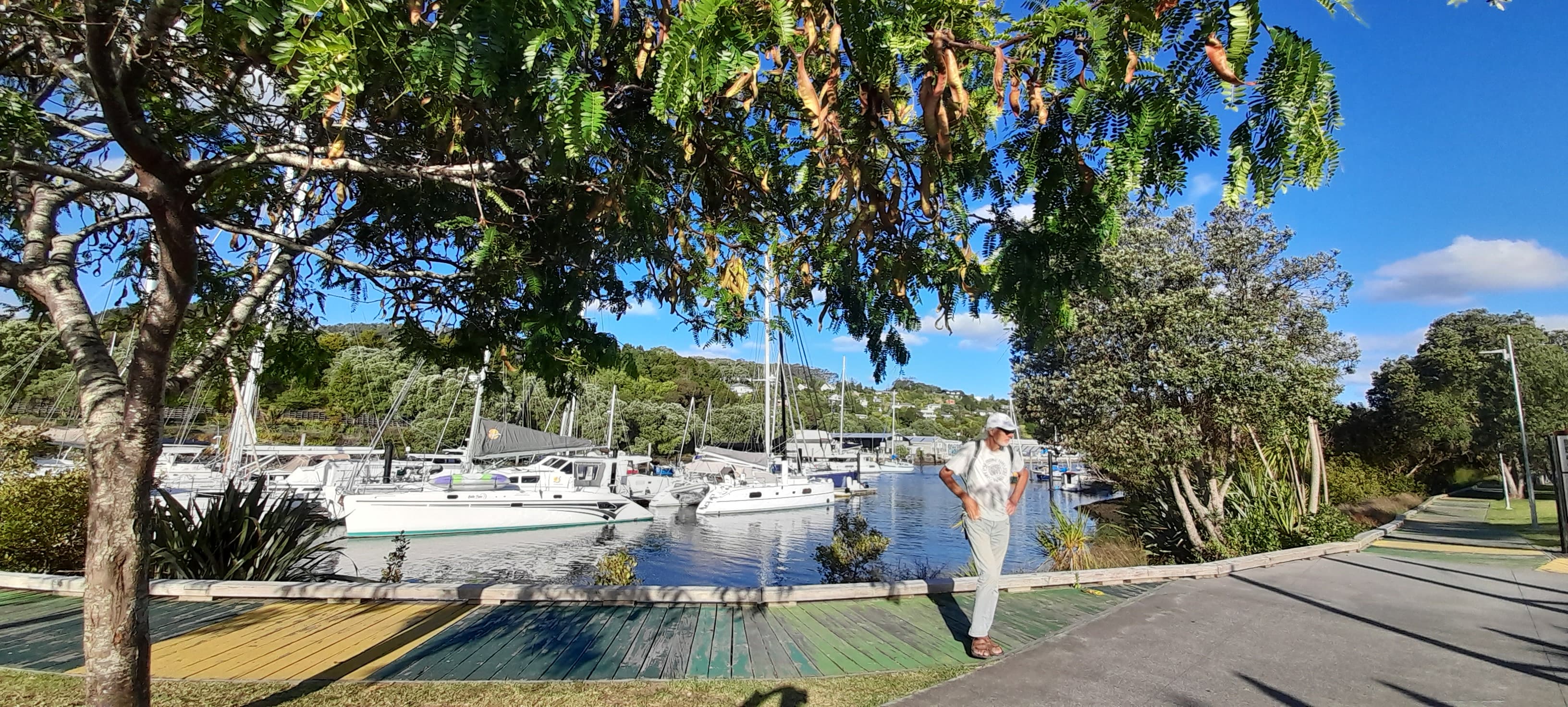  🇳🇿️ Back in Marsden and Whangarei  images/2025/mars/wtb.jpg