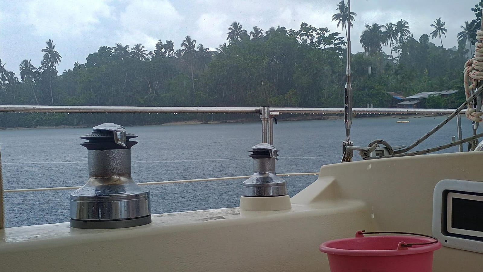 🇸🇧️ Lata, Rodney and Simons bay images/2025/rod/Lata.jpg