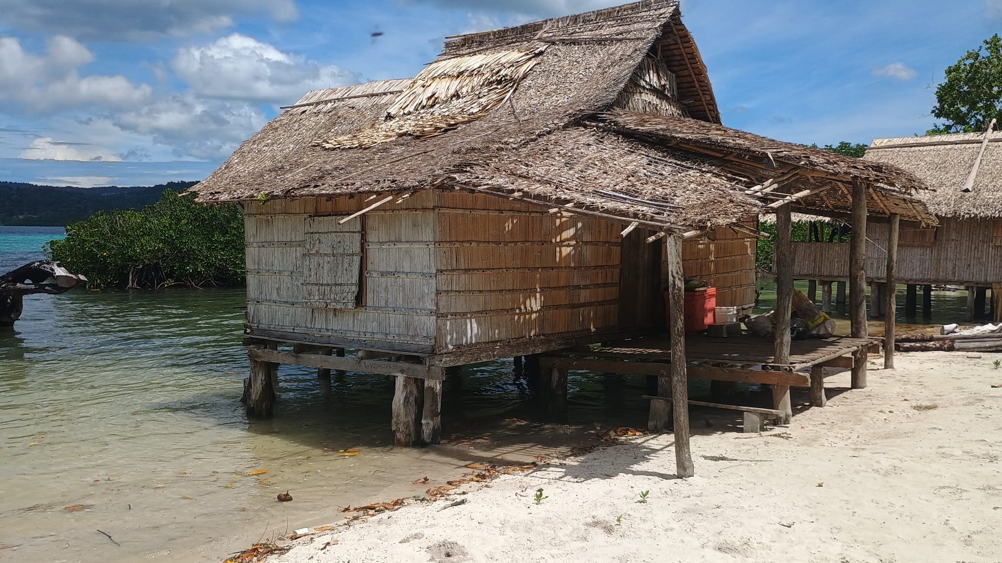 🇸🇧️ Lata, Rodney and Simons bay images/2025/rod/ho.jpg