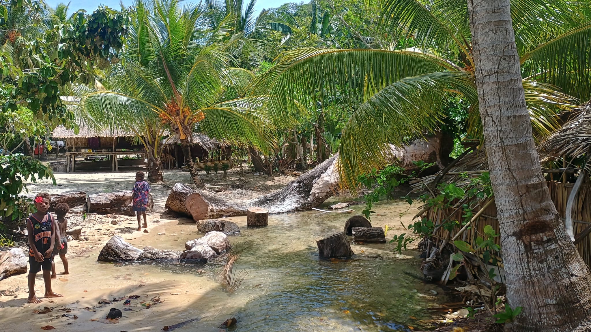 🇸🇧️ Lata, Rodney and Simons bay images/2025/rod/ho1.jpg