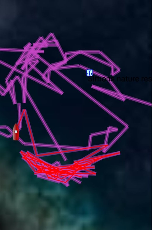 🇸🇧️ Lata, Rodney and Simons bay images/2025/rod/reef.jpg