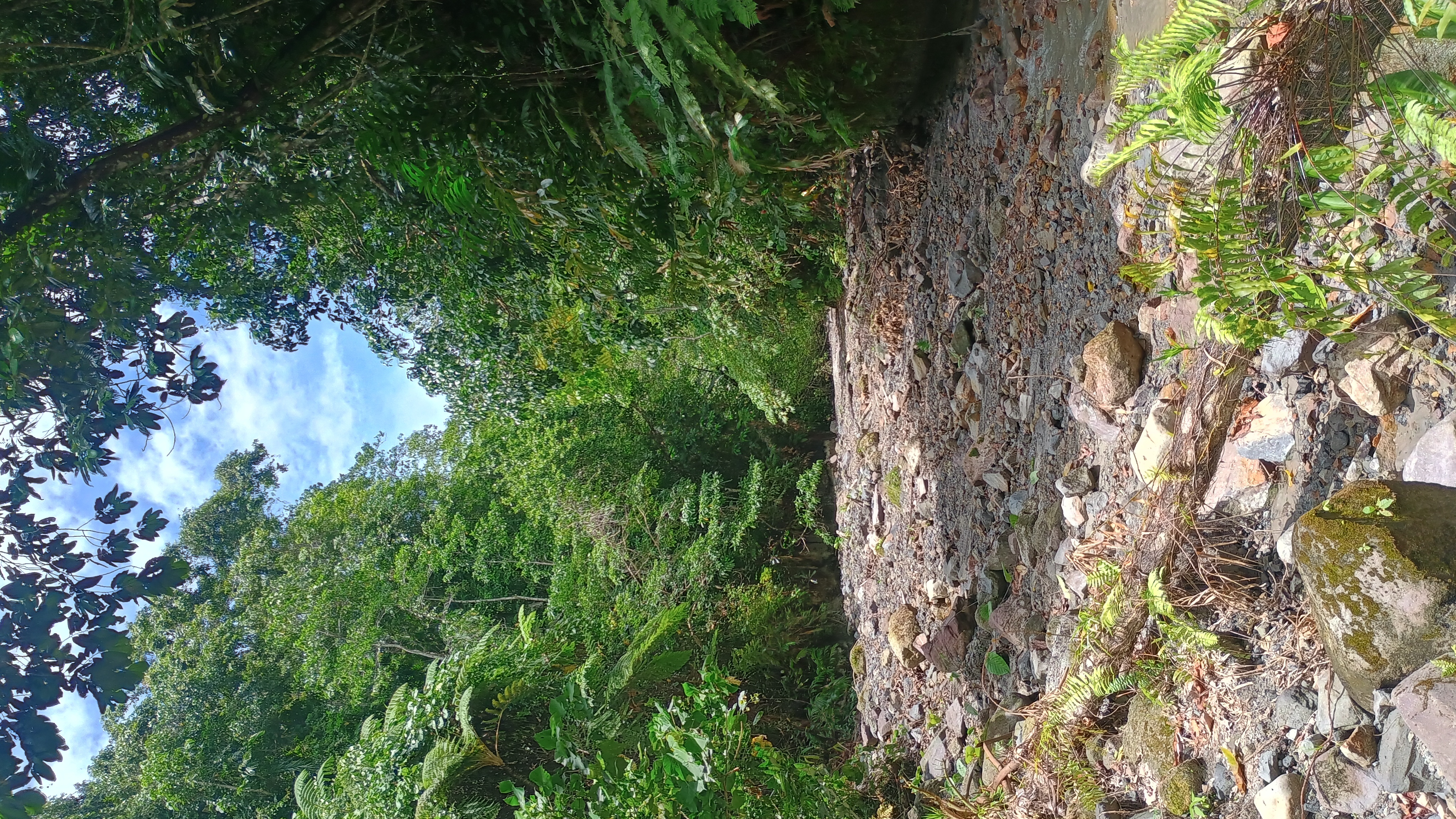 🇸🇧️ Savo Island images/2025/savo/savo5.jpg