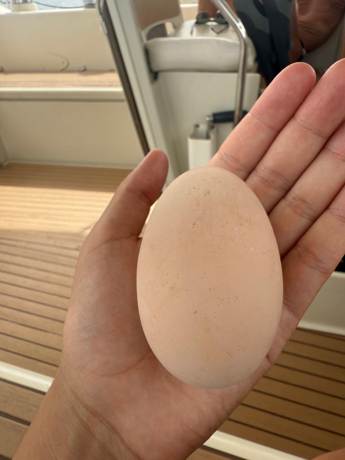 🇸🇧️ Savo Island images/2025/savo/vul4.jpg