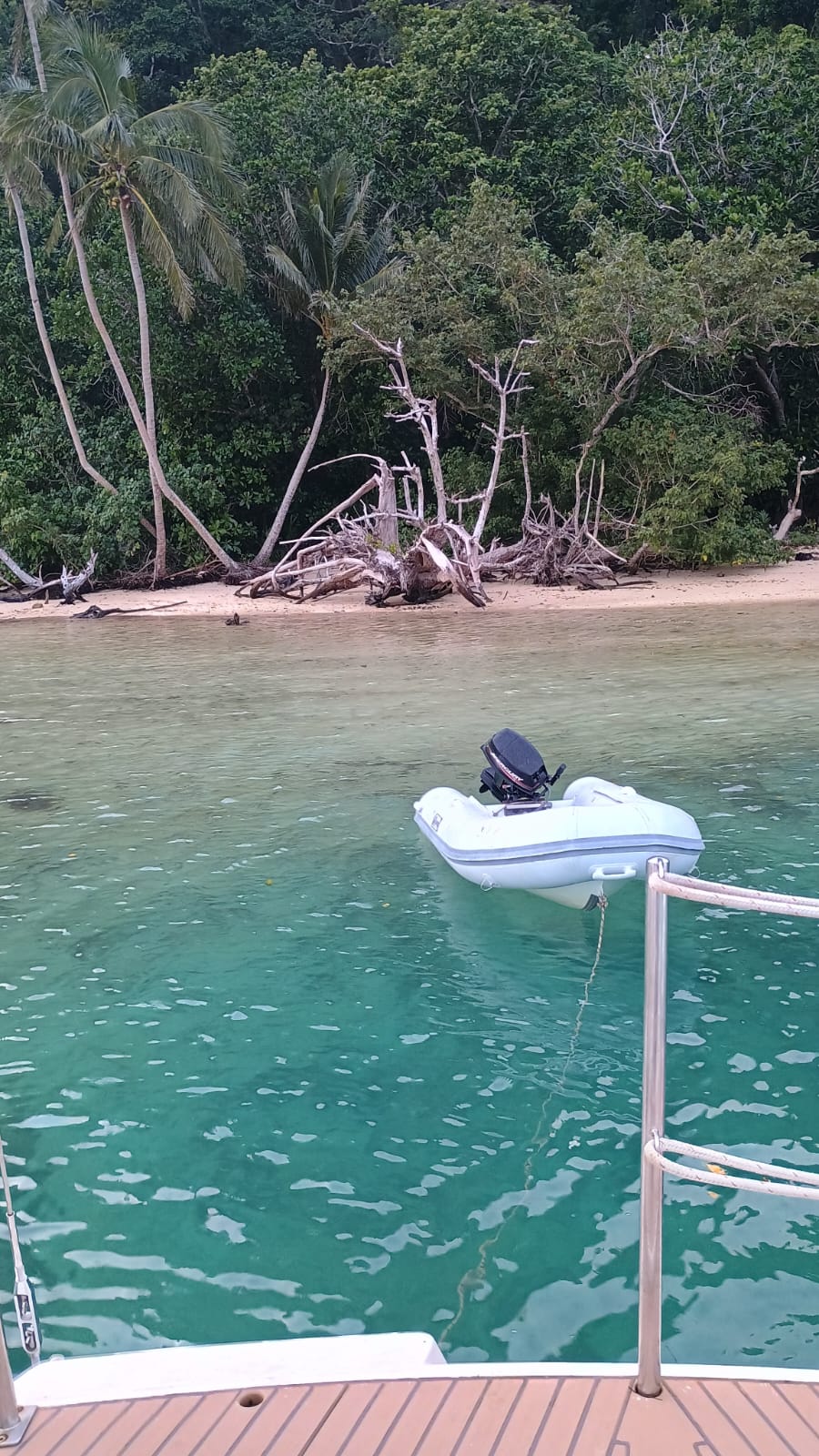 🇫🇯️ Vanau Balavu, Rainbow reef and Taveuni images/2025/van/14.jpg