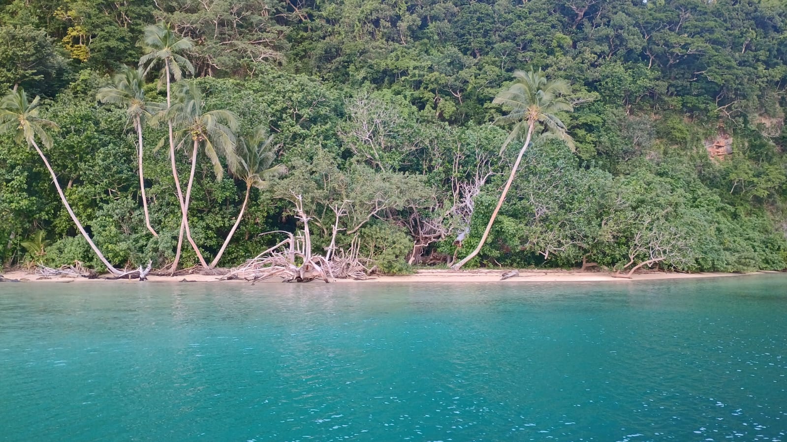 🇫🇯️ Vanau Balavu, Rainbow reef and Taveuni images/2025/van/22.jpg