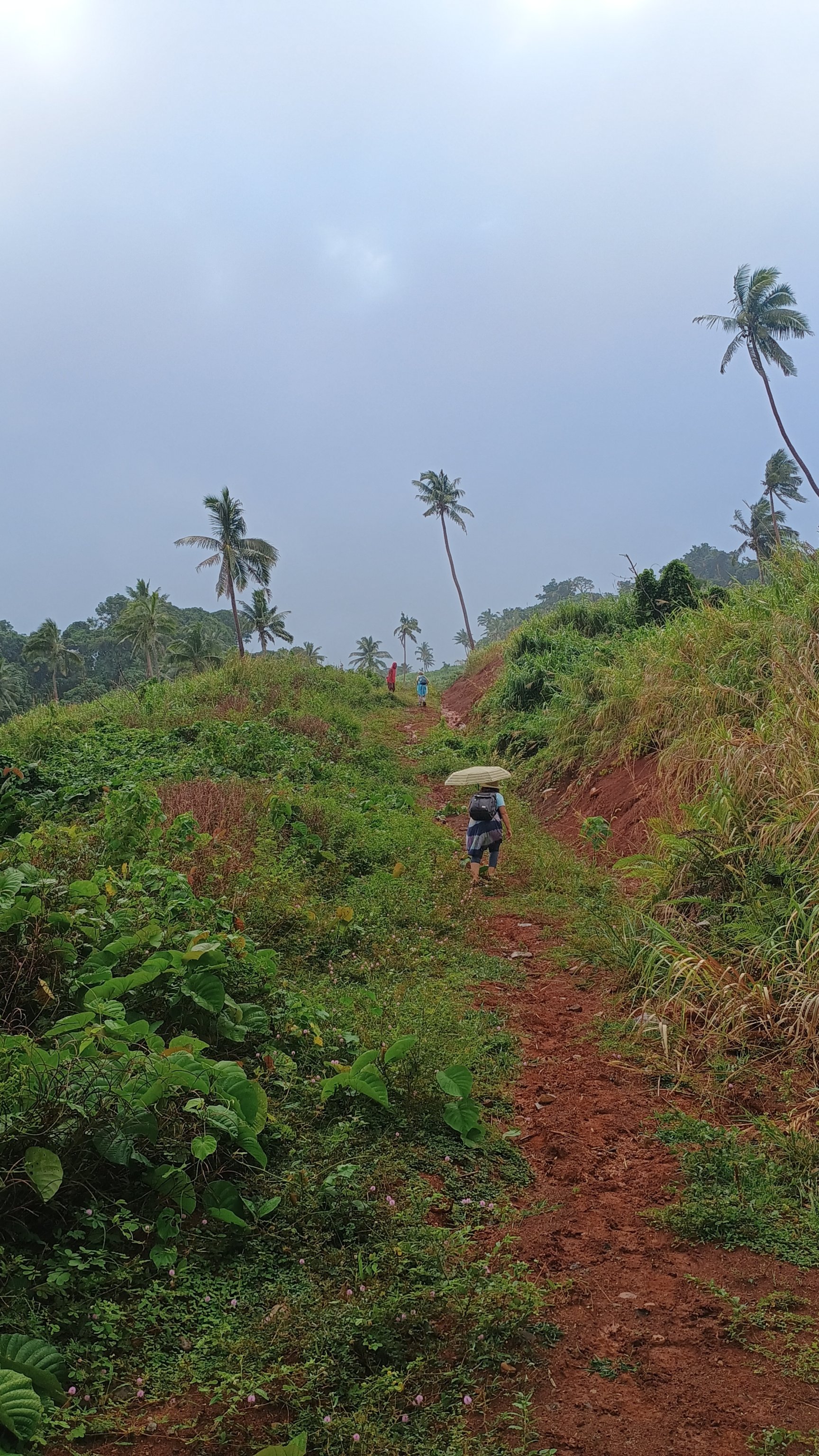 ๐ซ๐ฏ๏ธ Vanau Balavu, Rainbow reef and Taveuni images/2025/van/37.jpg