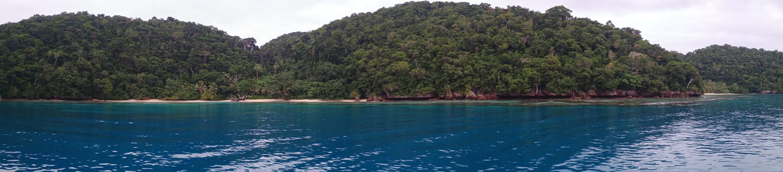🇫🇯️ Vanau Balavu, Rainbow reef and Taveuni images/2025/van/47.jpg