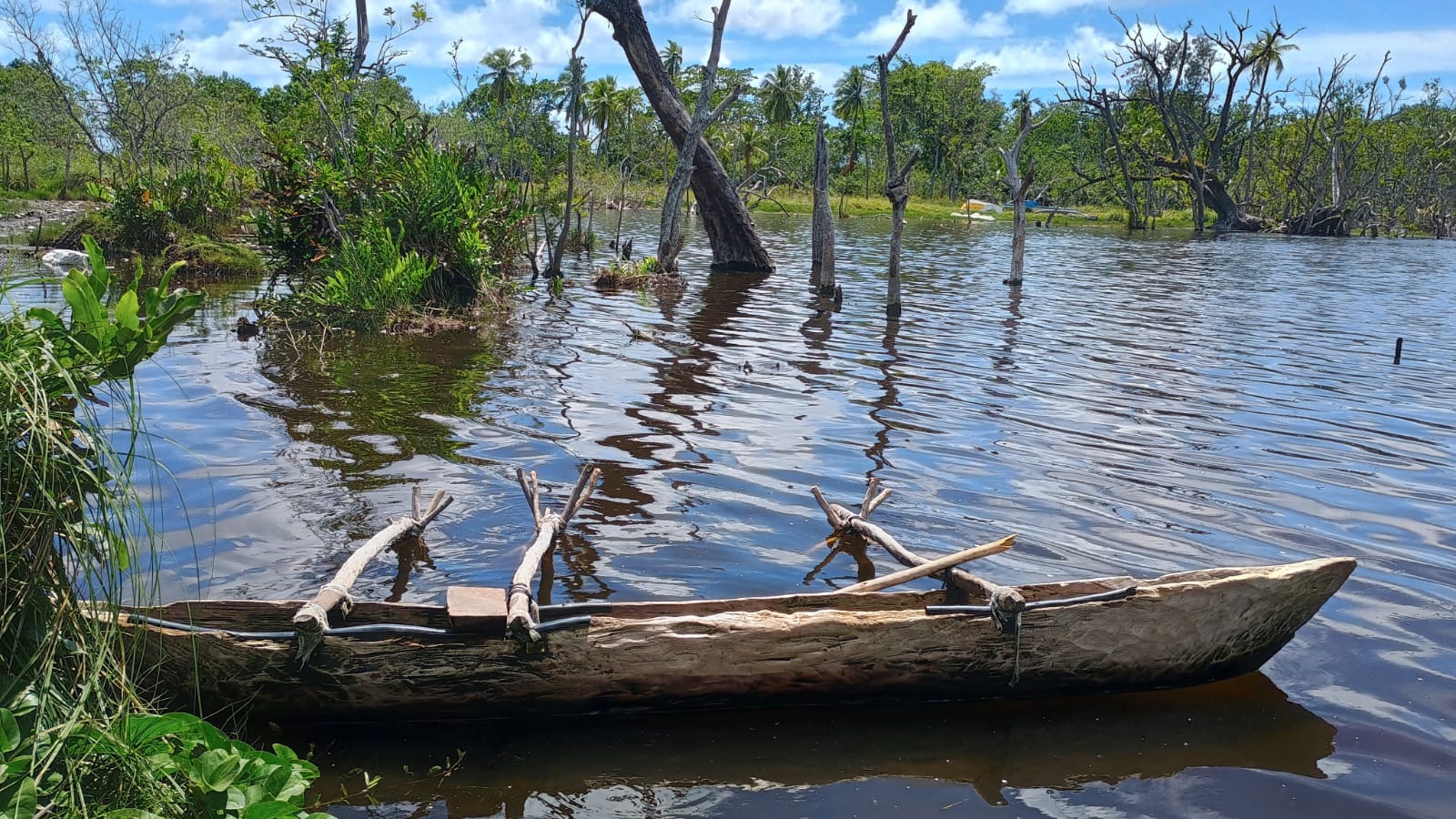 🇻🇺️ Vanuatu images/2025/vu/12.jpg