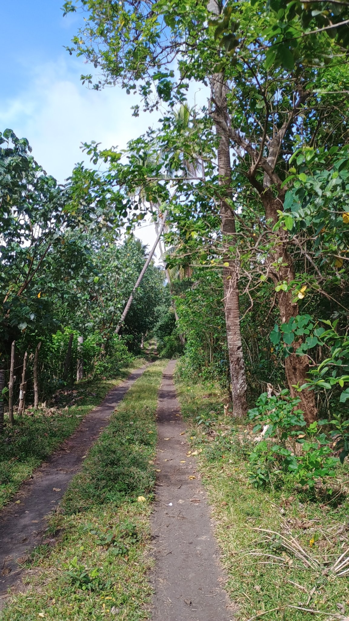 🇻🇺️ Vanuatu images/2025/vu/18.jpg