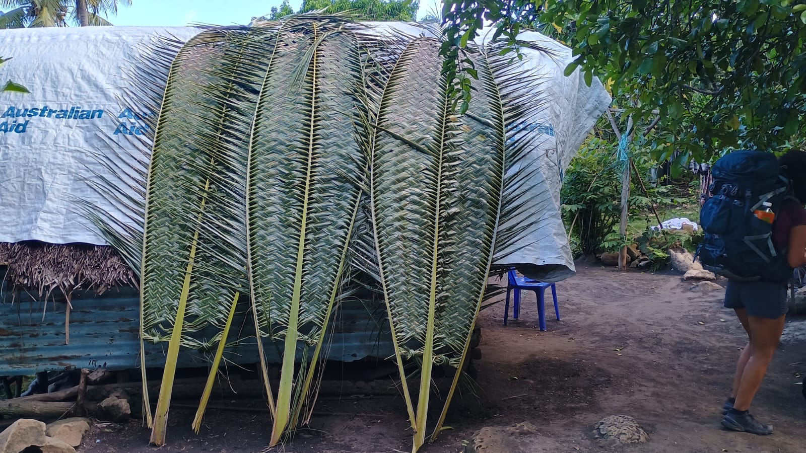 🇻🇺️ Vanuatu images/2025/vu/21.jpg