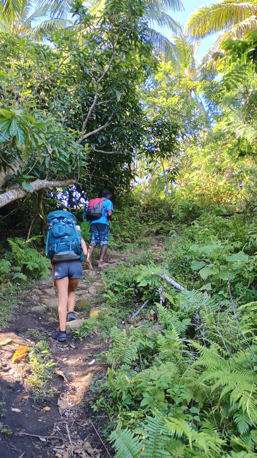 🇻🇺️ Vanuatu images/2025/vu/23.jpg