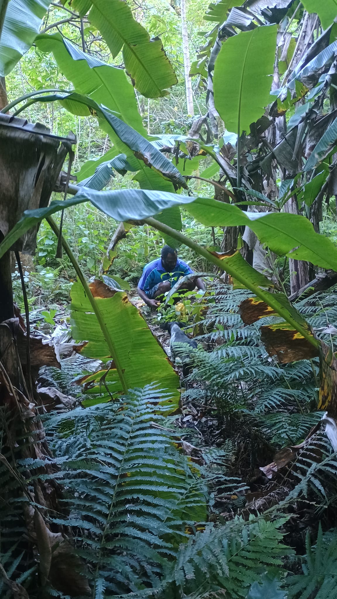 🇻🇺️ Vanuatu images/2025/vu/26.jpg