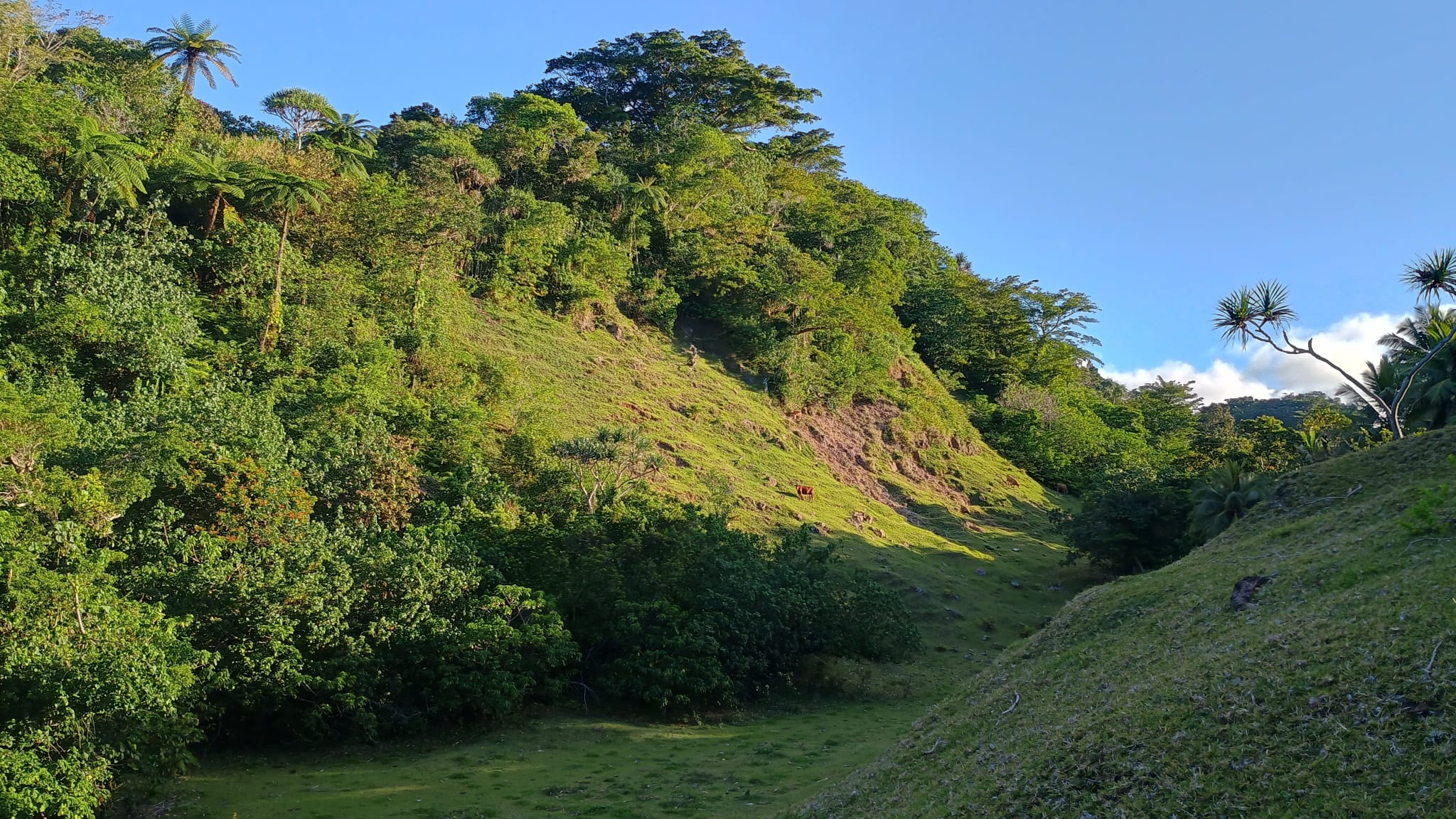 🇻🇺️ Vanuatu images/2025/vu/27.jpg