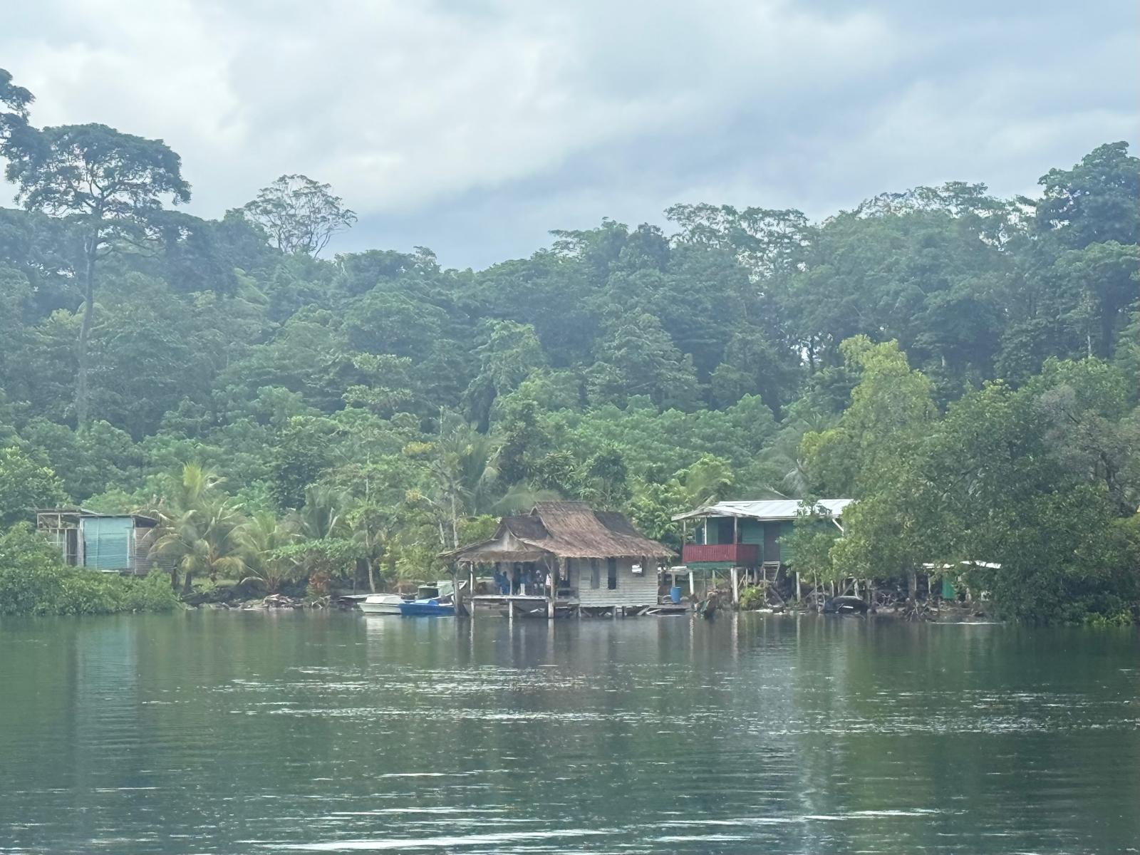 🇸🇧️ The western province images/2025/wes/11.jpg