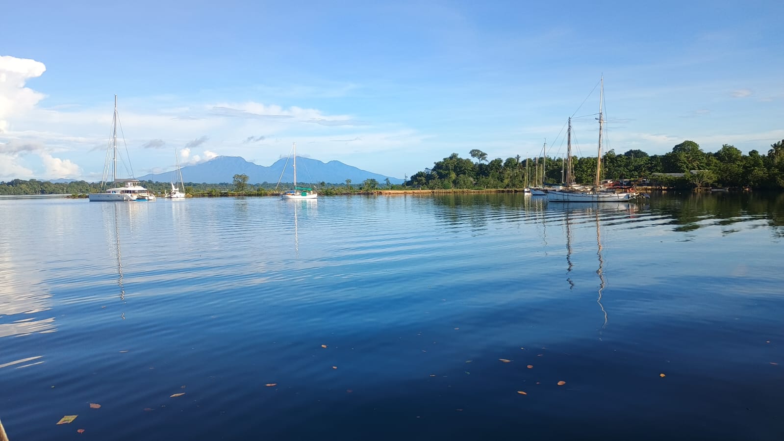 🇸🇧️ The western province images/2025/wes/13.jpg