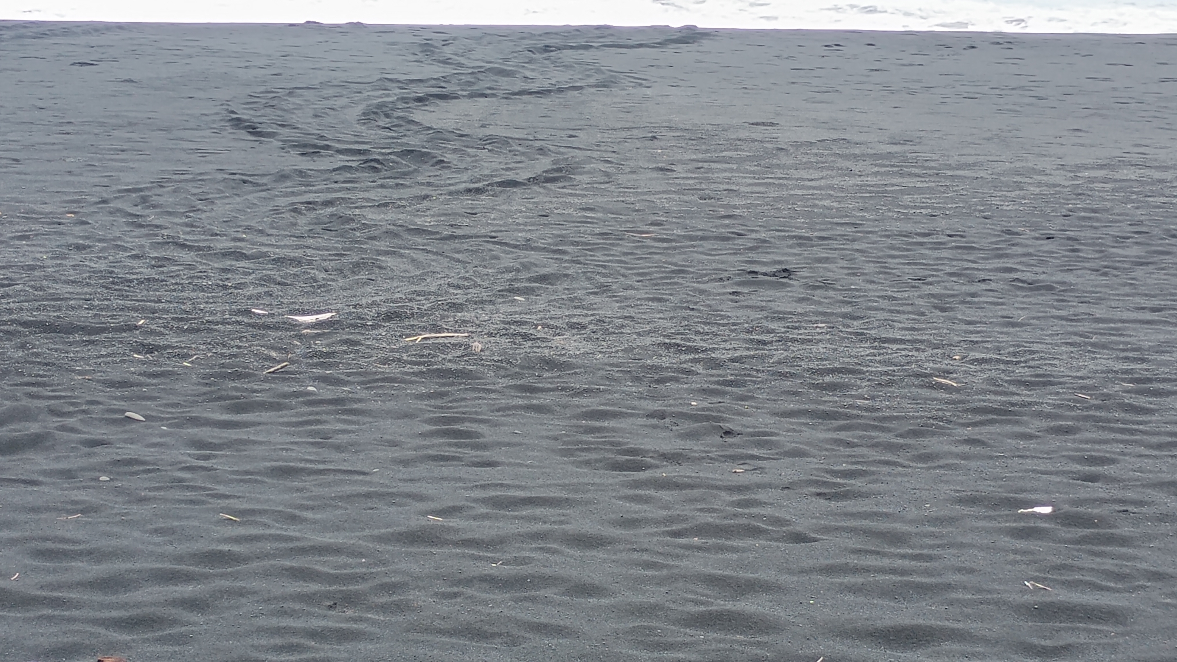 🇸🇧️ The western province images/2025/wes/2.jpg