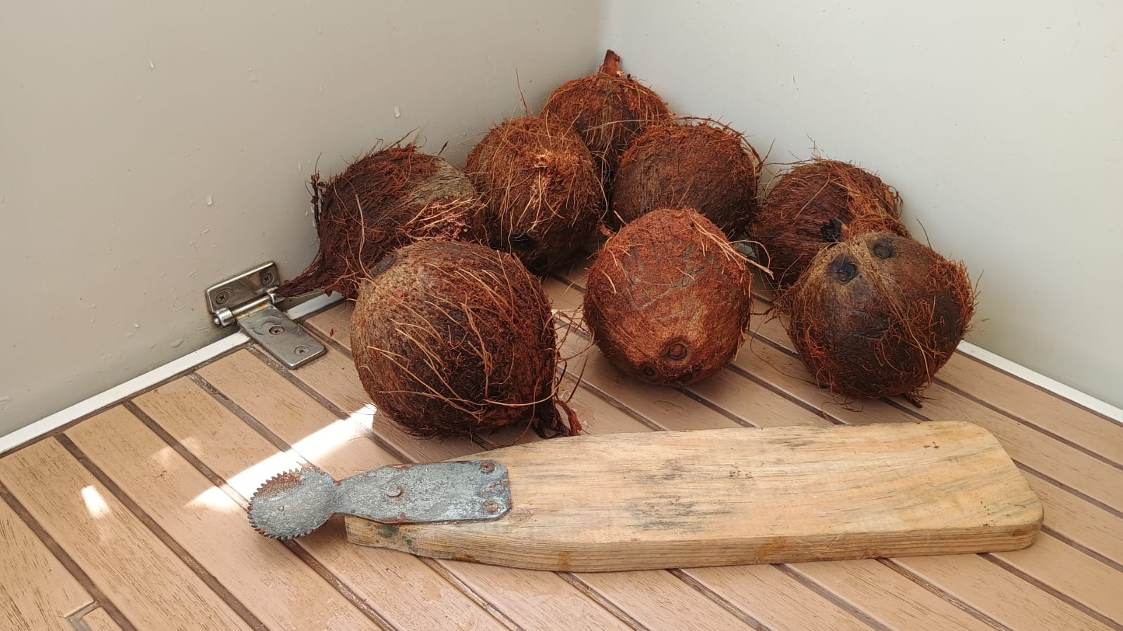 🇸🇧️ The western province images/2025/wes/cok.jpg