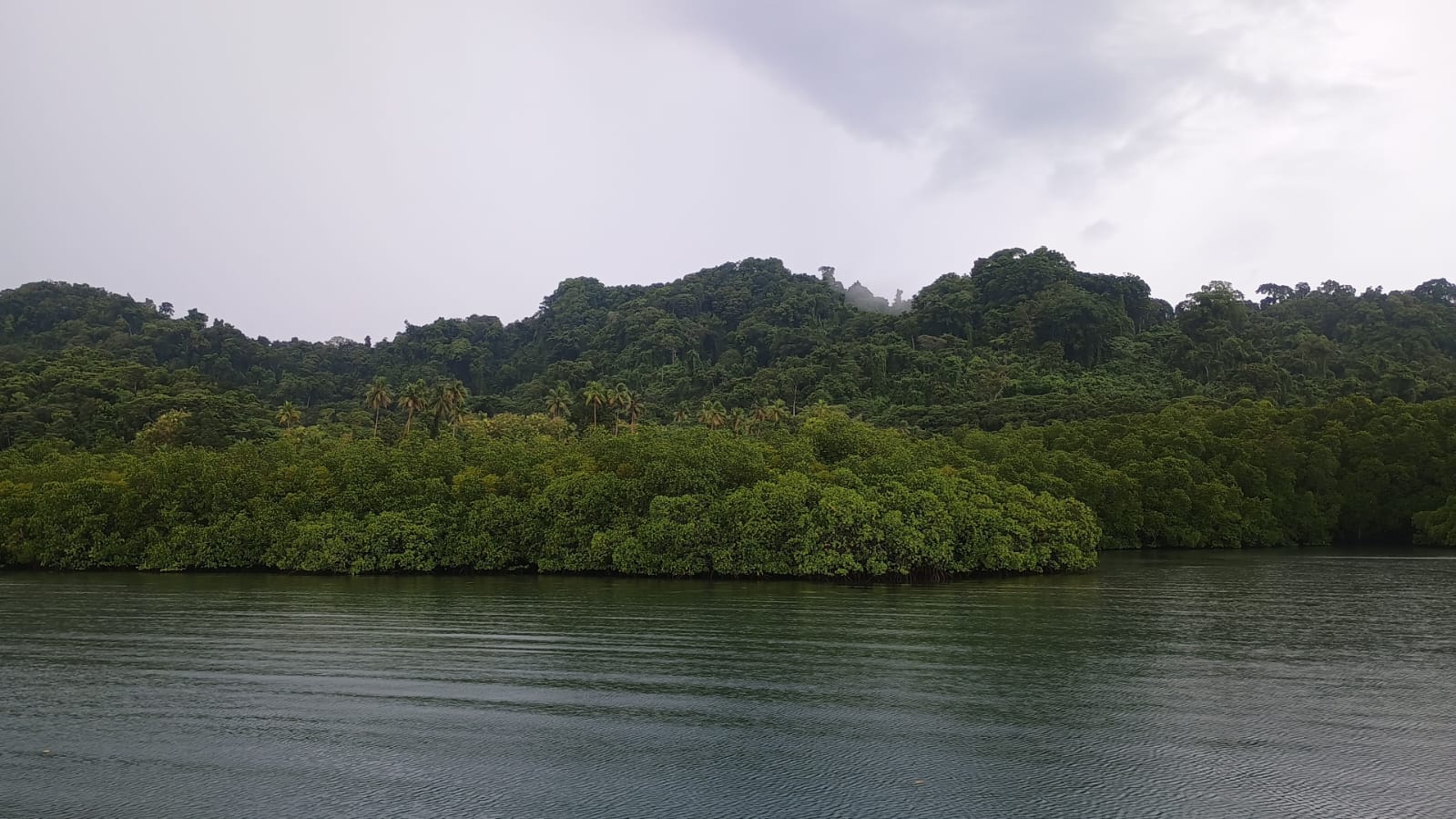 🇸🇧️ The western province images/2025/wes/crock.jpg