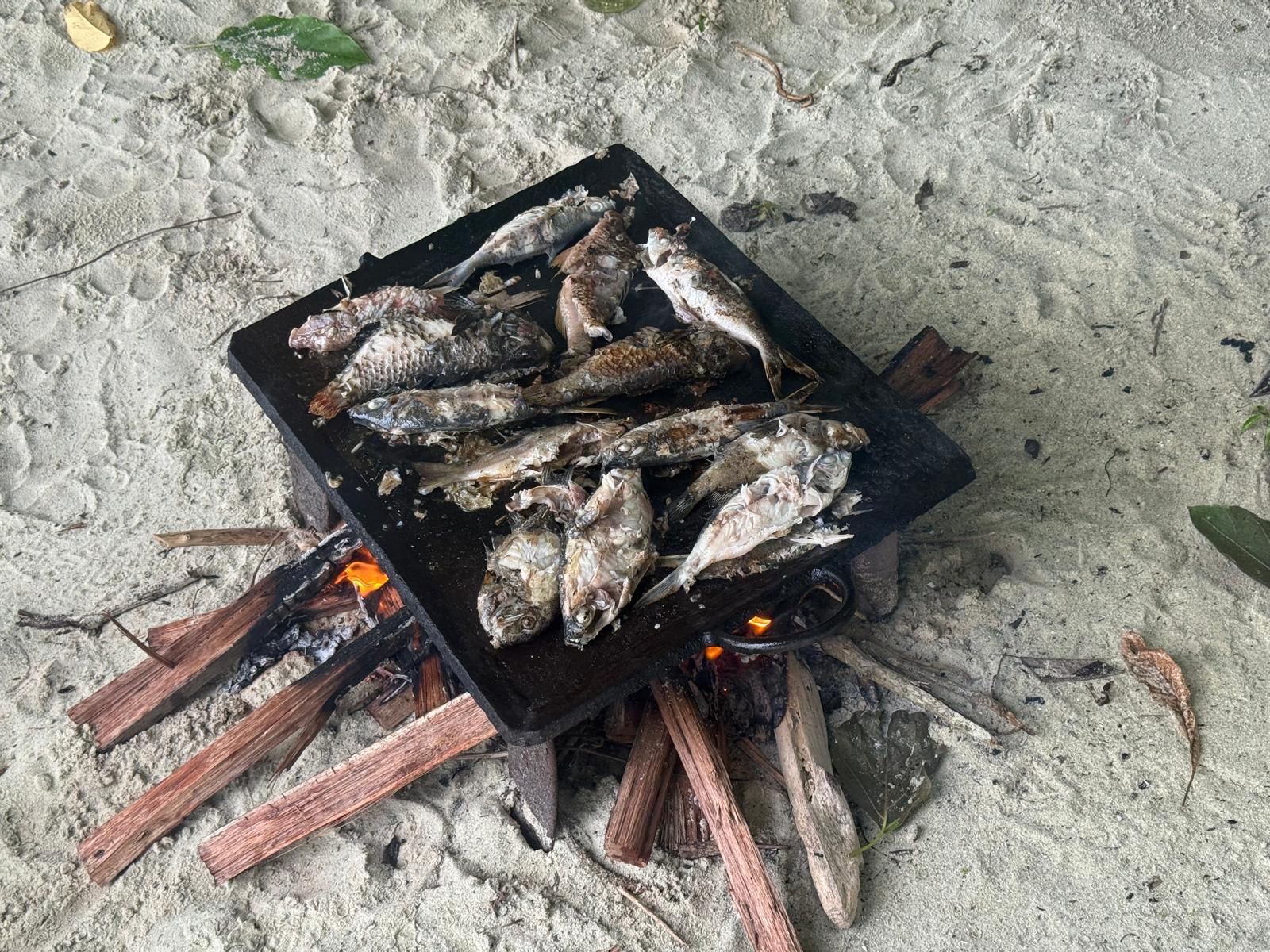 🇸🇧️ The western province images/2025/wes/fish.jpg