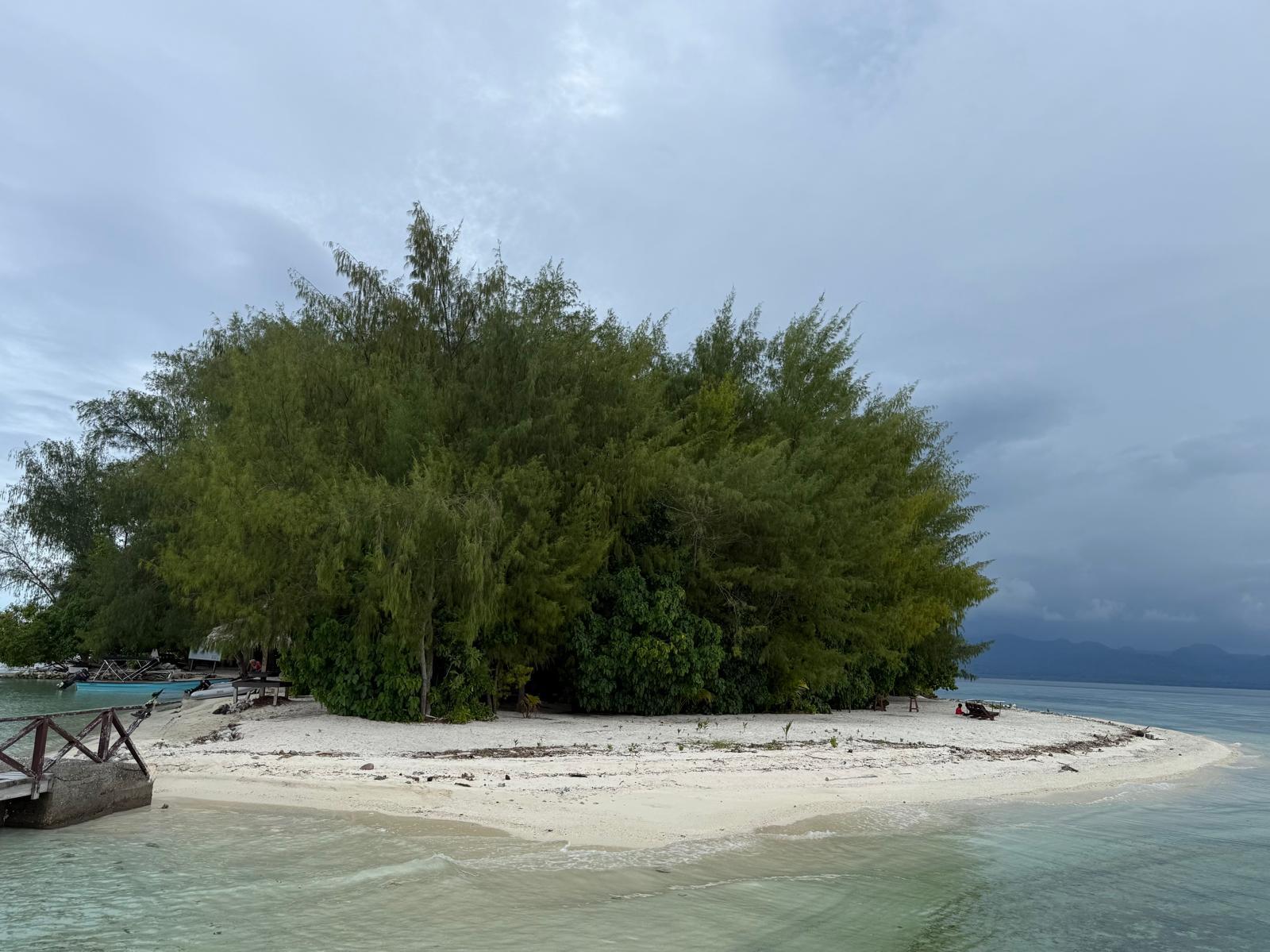 🇸🇧️ The western province images/2025/wes/ken.jpg