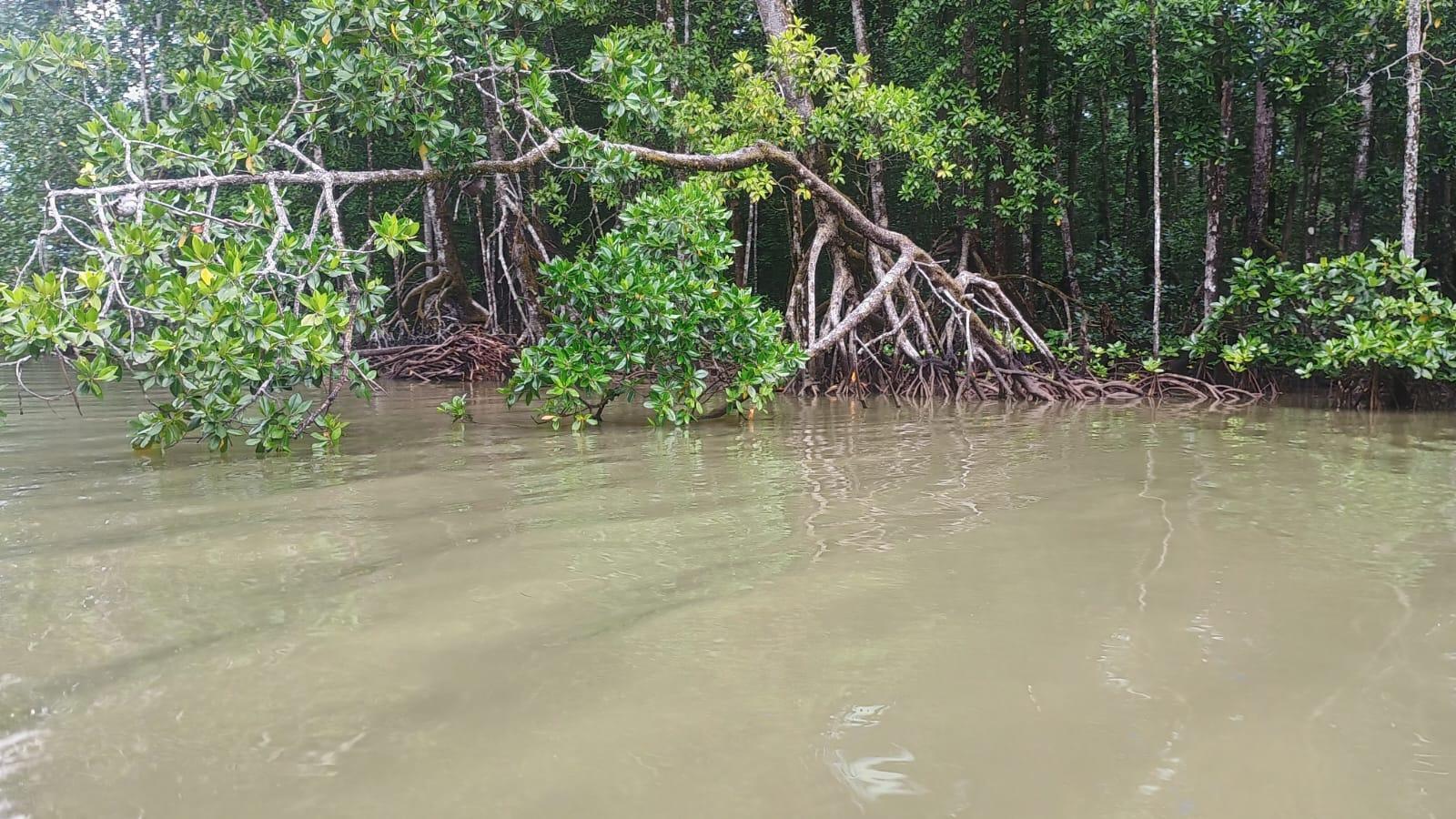 🇸🇧️ The western province images/2025/wes/salt.jpg