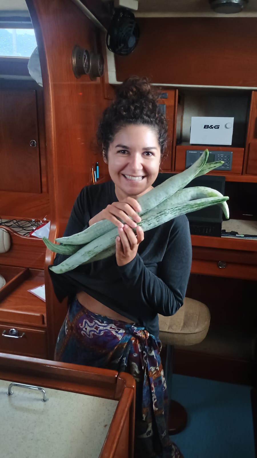 🇸🇧️ The western province images/2025/wes/sb.jpg