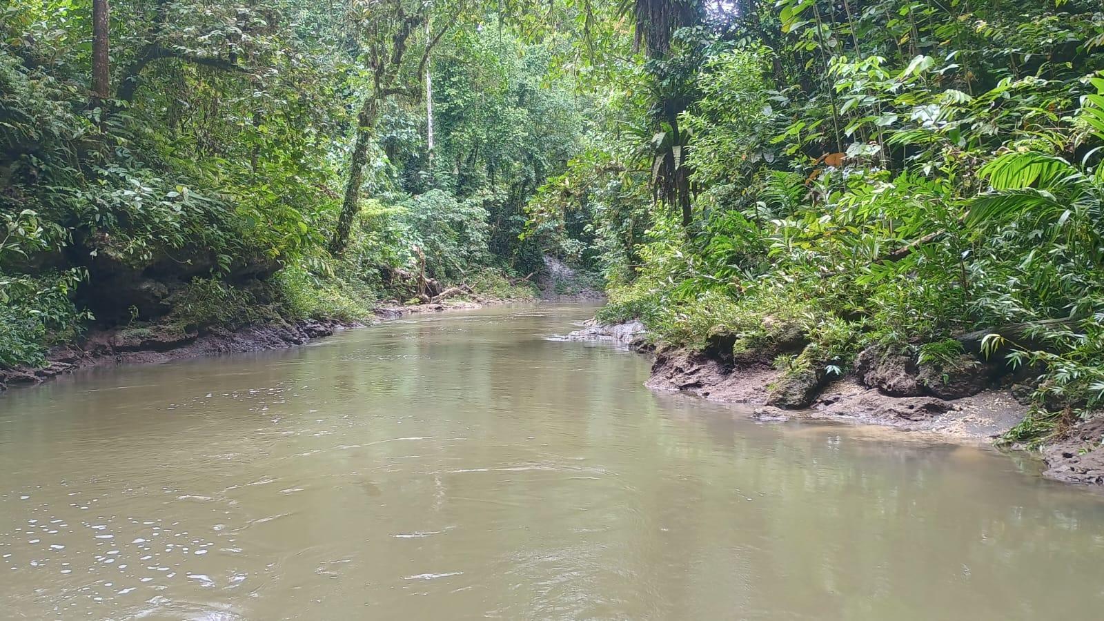 🇸🇧️ The western province images/2025/wes/sweet.jpg