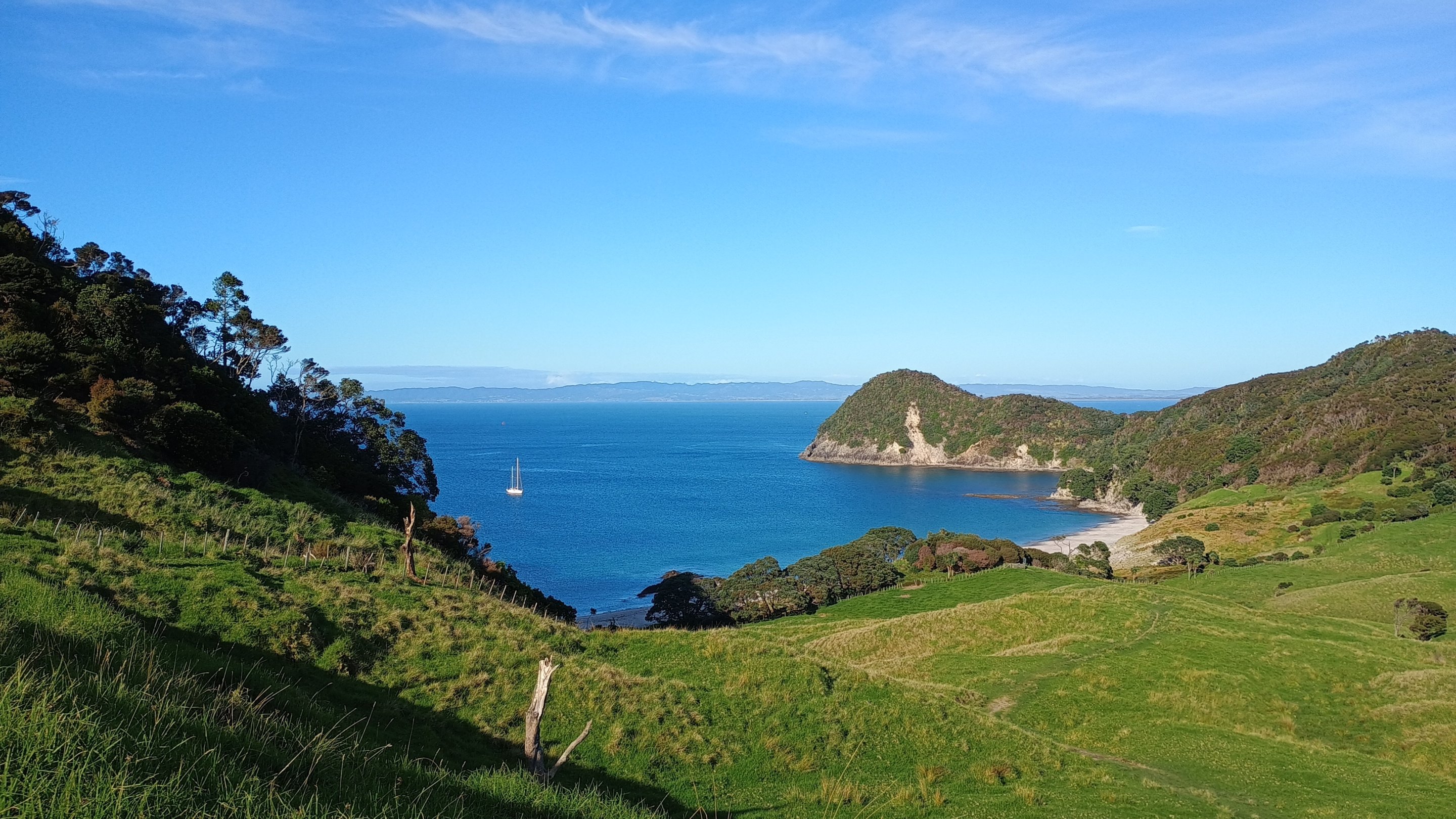  🇳🇿️ Whangarei its wonderfull to be here images/2025/whang/1.jpg