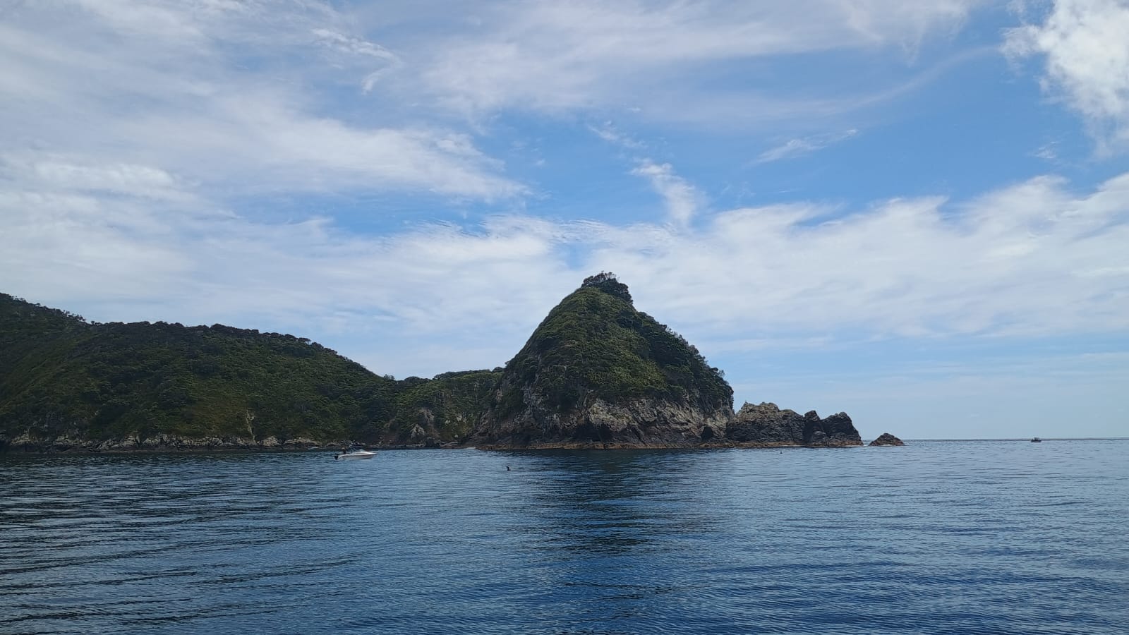  🇳🇿️ Whangarei its wonderfull to be here images/2025/whang/hen3.jpg