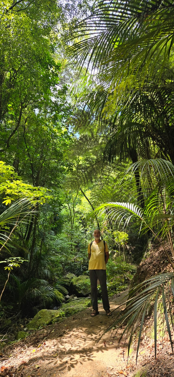  🇳🇿️ Whangarei its wonderfull to be here images/2025/whang/walk2.jpg