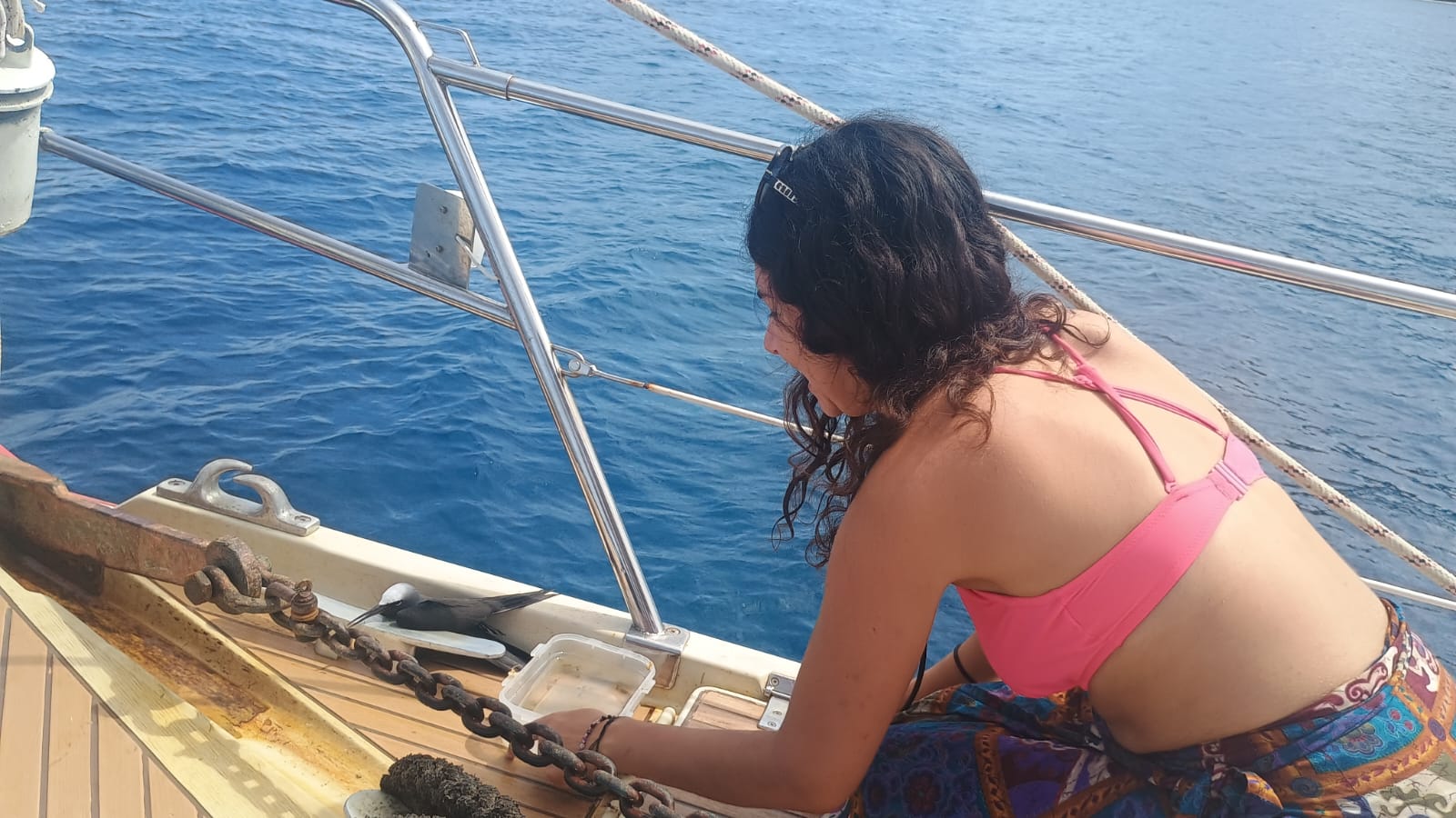 🇫🇯️ The Yasawa islands images/2025/yas/a3.jpg
